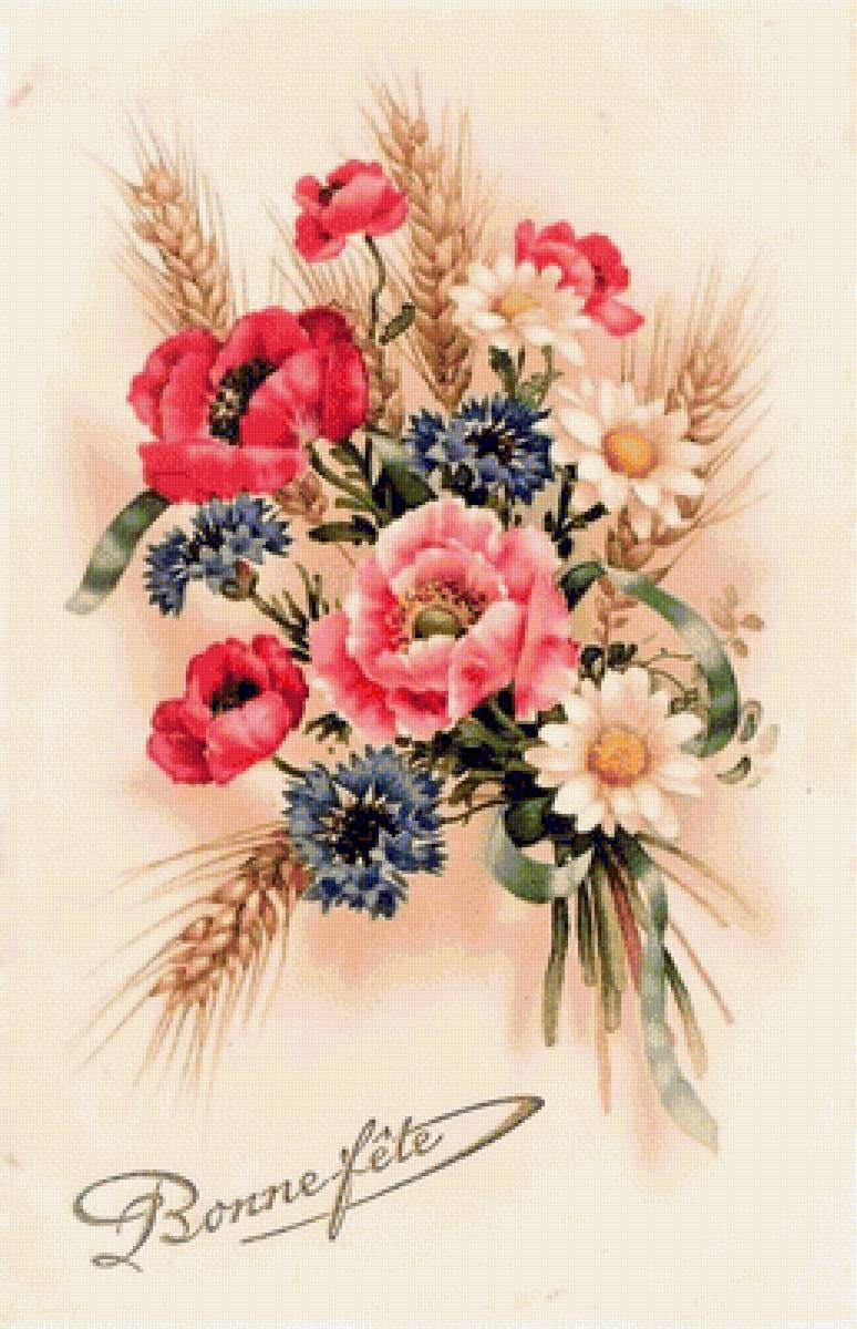 polné kvety - предпросмотр