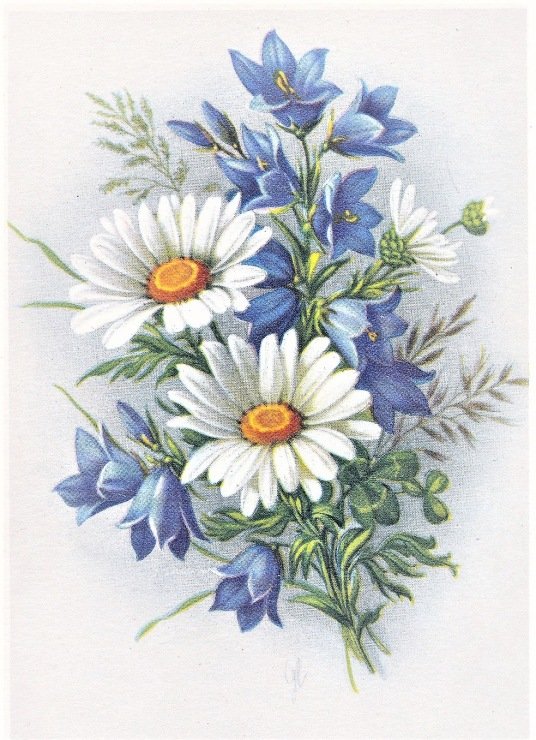 margaréty,zvončeky - оригинал