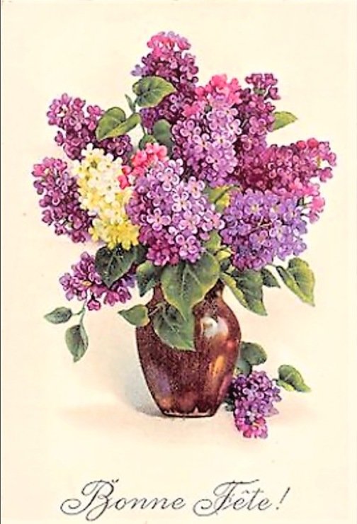 orgován - оригинал