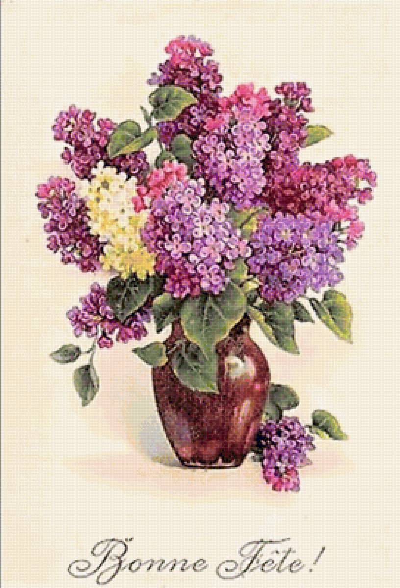 orgován - предпросмотр