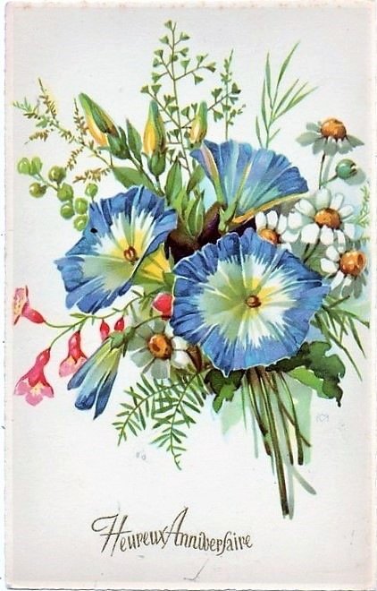 modré kvety - оригинал