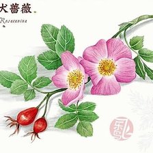 Схема вышивки «šípky»