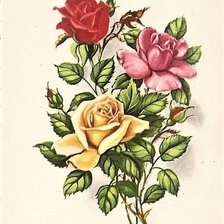 Схема вышивки «ruže»