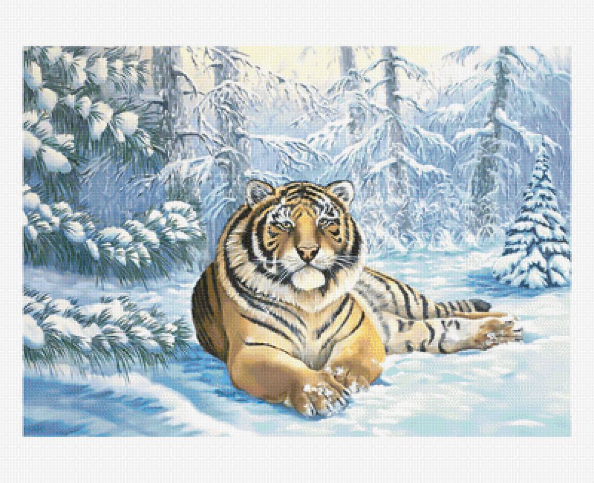Амурский тигр. - хищник., снег, тигр, лес, зима - предпросмотр