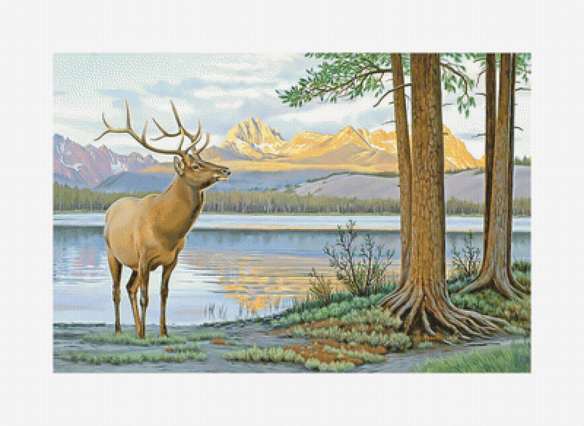 Олень у воды. - озеро, олень, пейзаж, горы., лес - предпросмотр