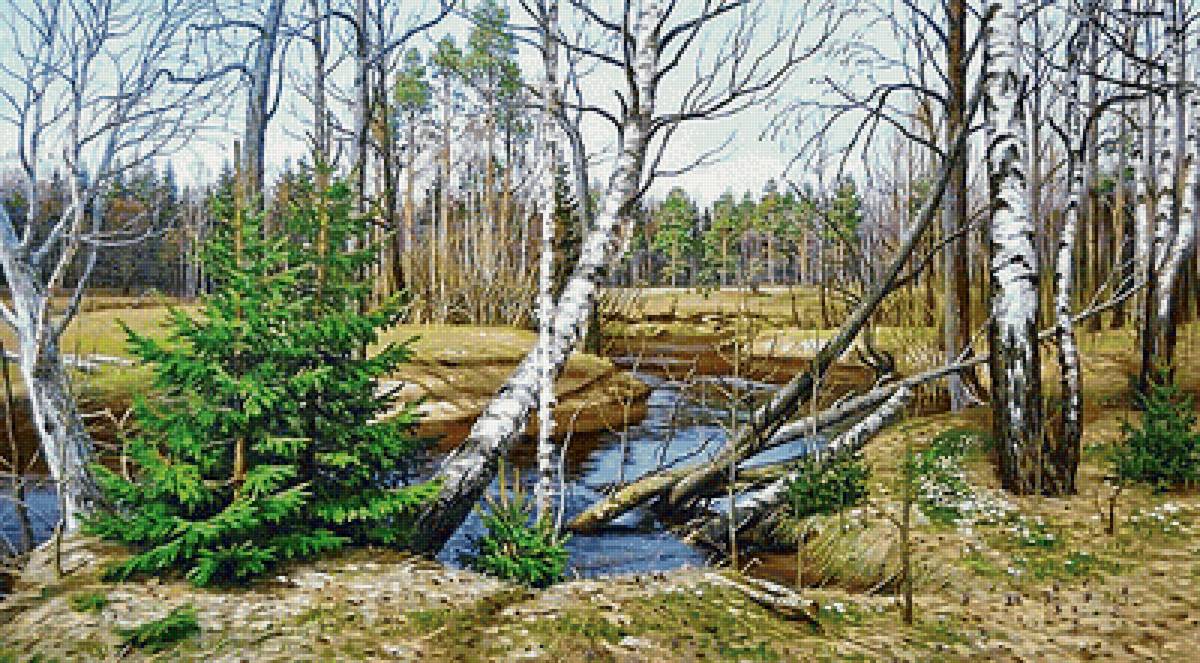 Пейзаж - лес. река, березы, весна, ель - предпросмотр