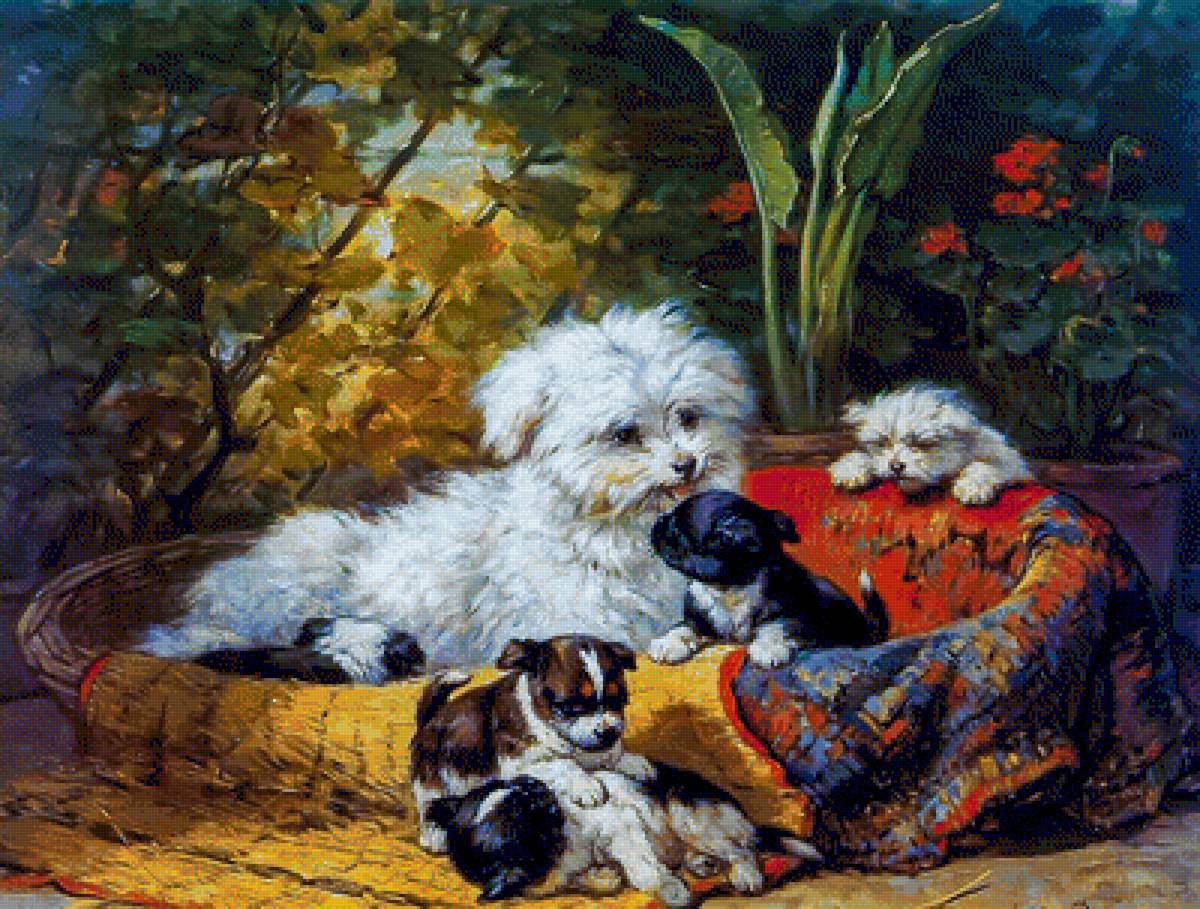Maltese. - henriette ronner-knip painter.animals. - предпросмотр