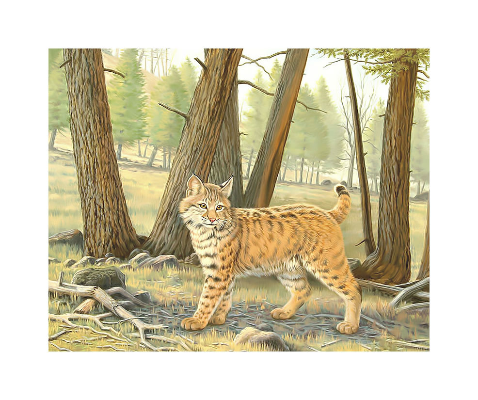 Рысь в лесу. - рысь, лес., хищник - оригинал