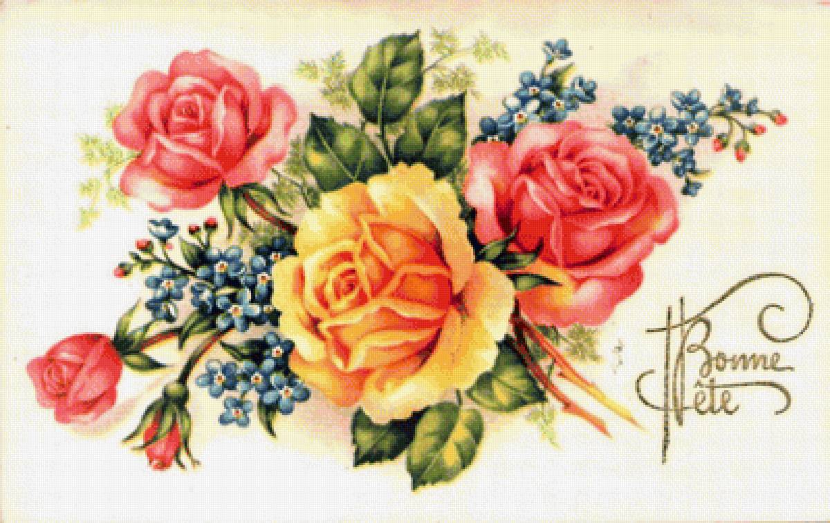 ruže - предпросмотр