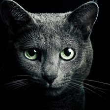 Схема вышивки «котик»