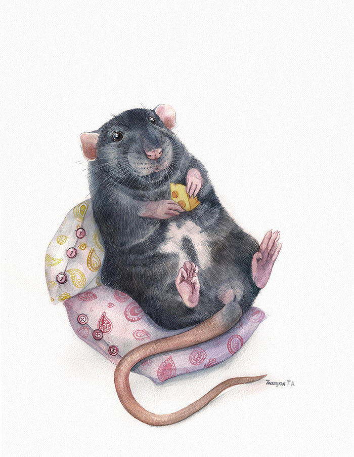 довольный крыс - оригинал