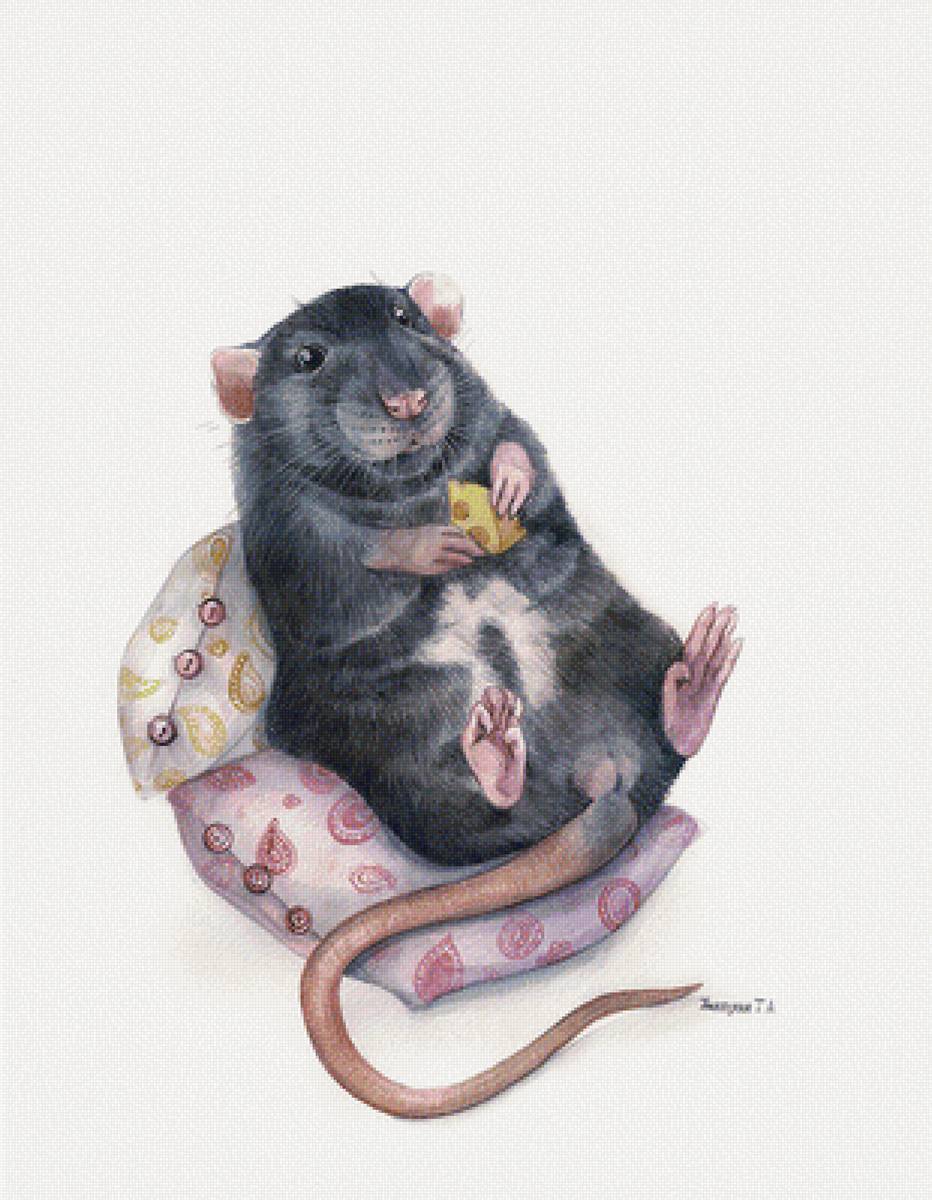 довольный крыс - предпросмотр