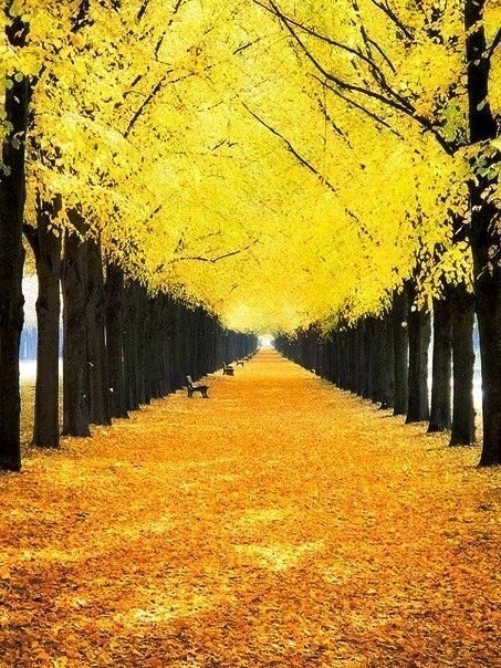 №1964965 - оригинал