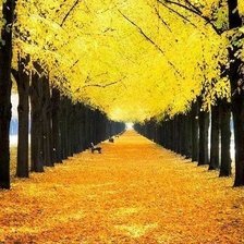 Схема вышивки «№1964965»