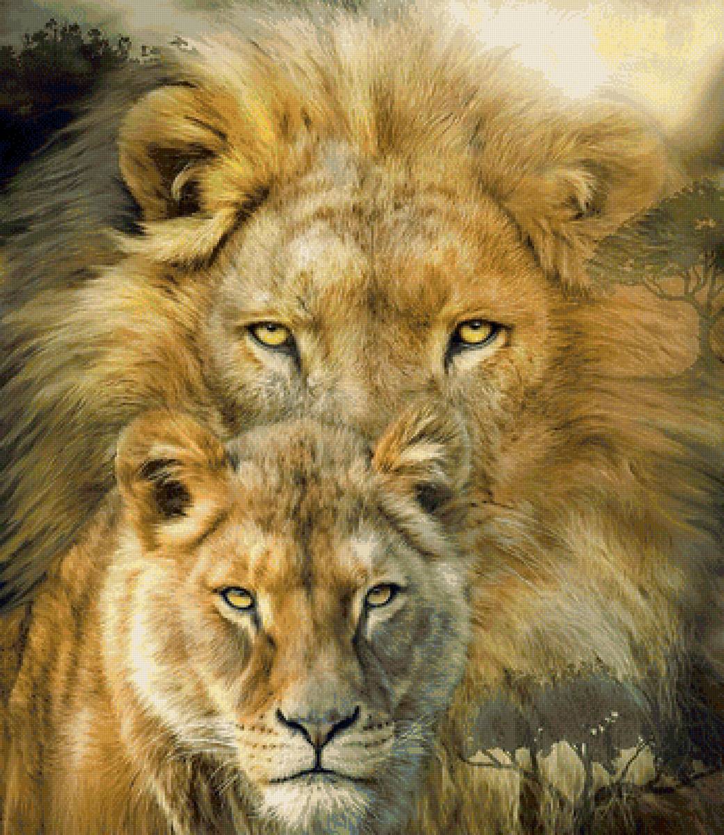 дикие - львы.большие кошки - предпросмотр