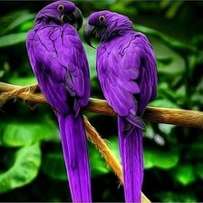 Схема вышивки «545»