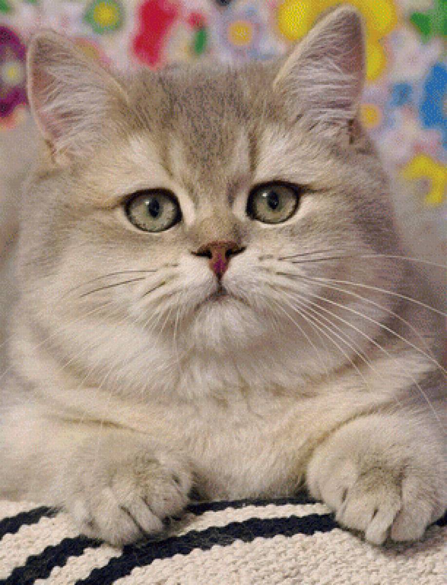 547 - предпросмотр