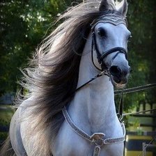 Схема вышивки «548»