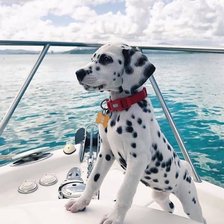 Схема вышивки «549»