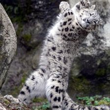 Схема вышивки «№1965020»