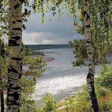 Схема вышивки «№1965027»