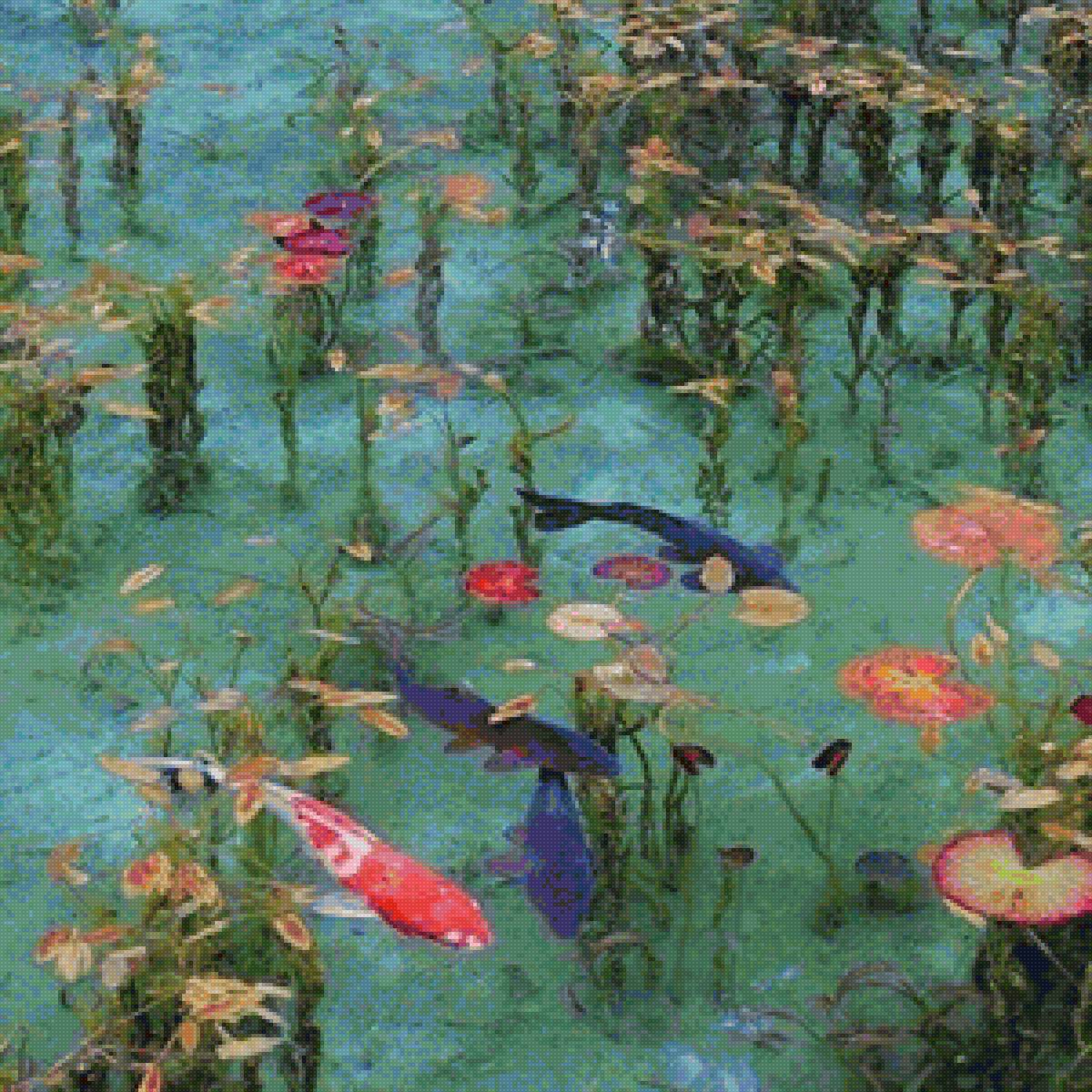 Карпы Кои - предпросмотр