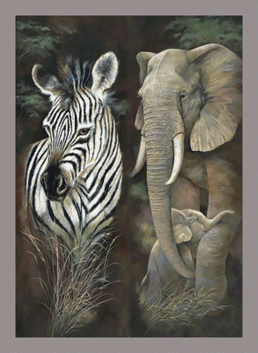 Зебра и слон. - животные., слоненок, зебра, слон - предпросмотр