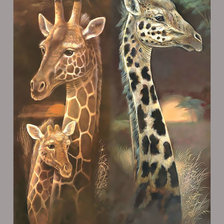 Схема вышивки «Жирафы.»