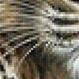 Предпросмотр схемы вышивки «Тигр с тигрёнком.» (№1965125)