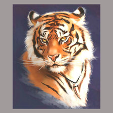 Оригинал схемы вышивки «Тигр.» (№1965130)