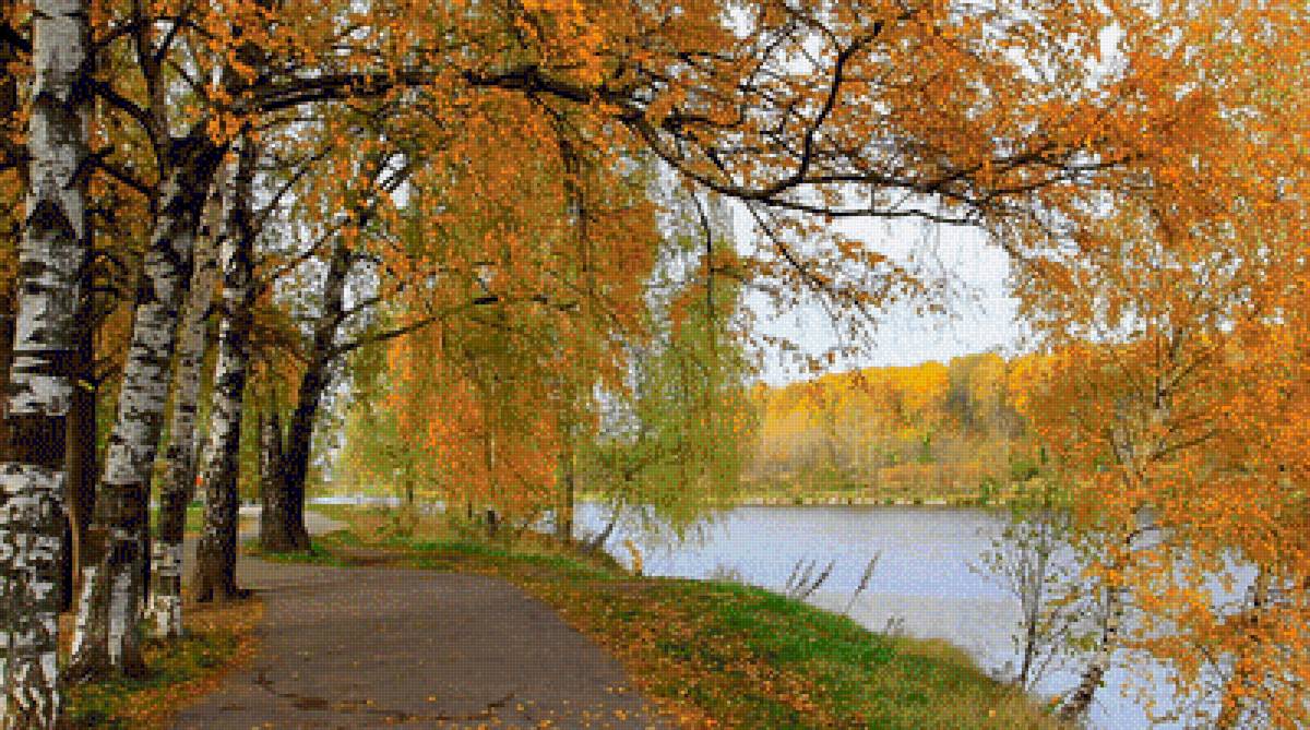 осенний пейзаж - березы, осень, дорожка, река, природа, пейзаж - предпросмотр