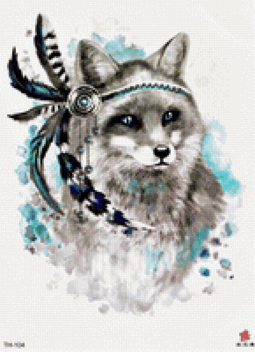 енот - енот - предпросмотр