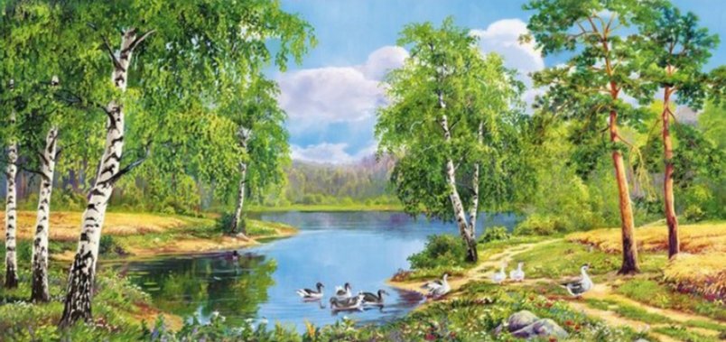 пейзаж - березы, природа, пейзаж, пруд, сосны - оригинал