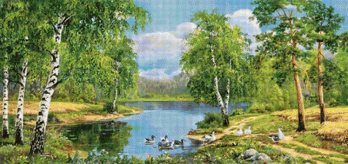 пейзаж - пруд, пейзаж, сосны, природа, березы - предпросмотр