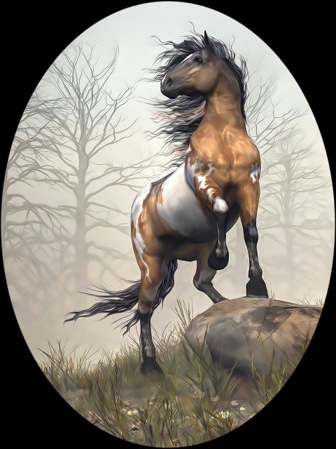 Конь. - животные., лошадь, конь - оригинал