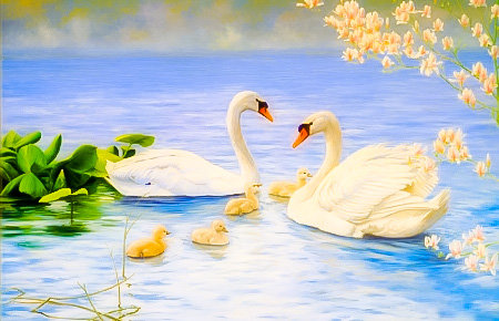 Proud Swan Family. - scenarys.birds. - оригинал