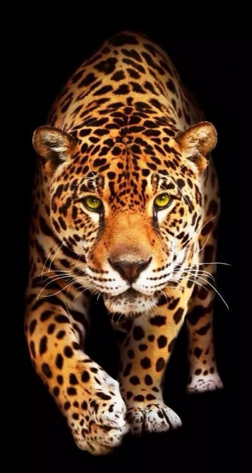 011 - оригинал