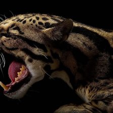 Схема вышивки «013»