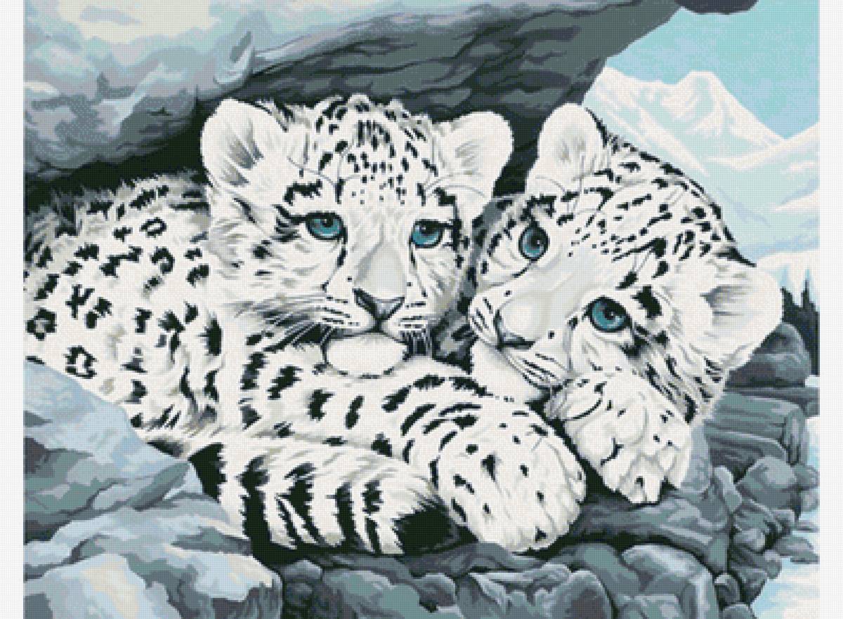 Милая парочка - животные, тигр, пара, хищник, зима - предпросмотр