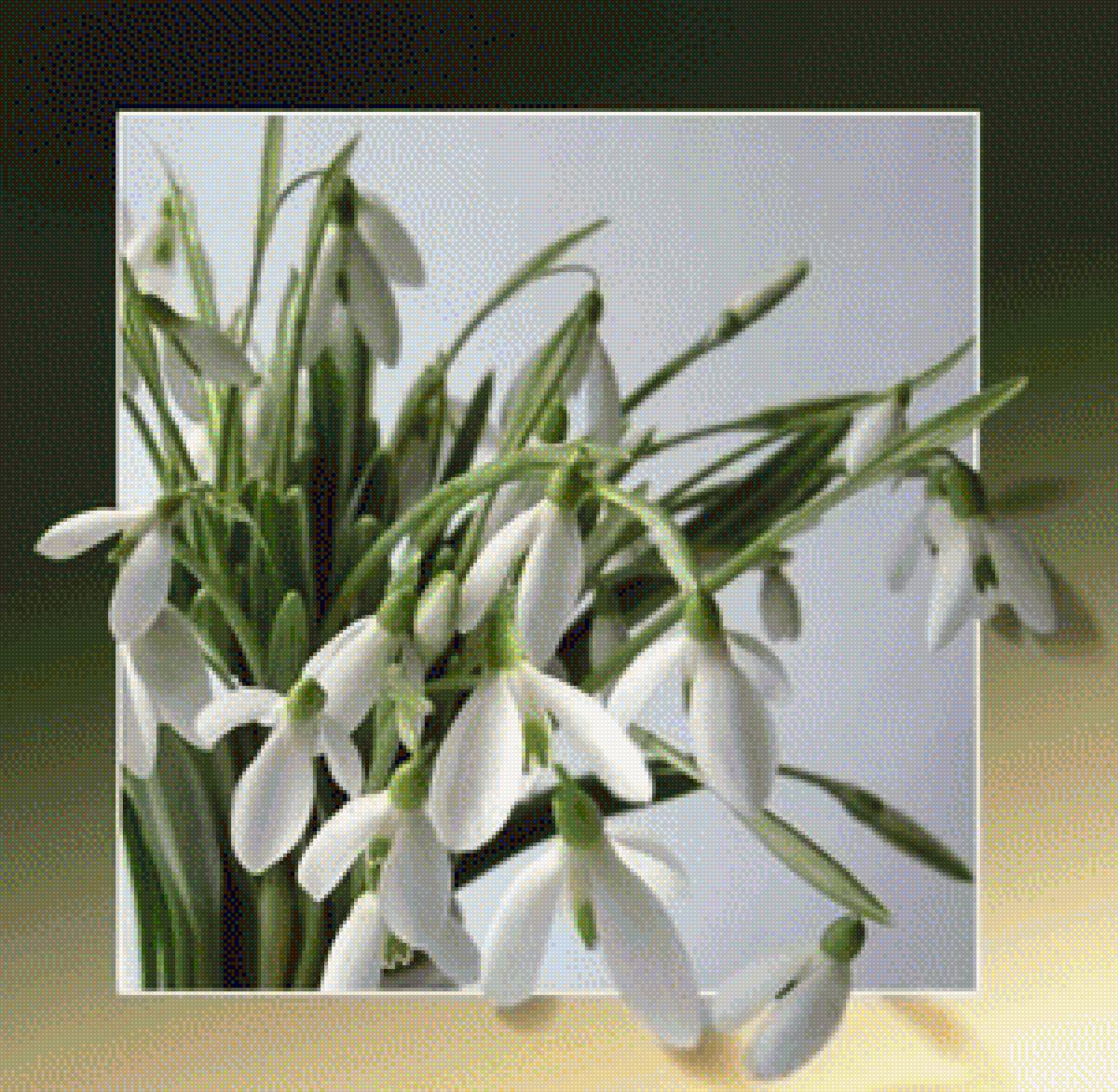 ПОДСНЕЖНИКИ - подснежники - предпросмотр