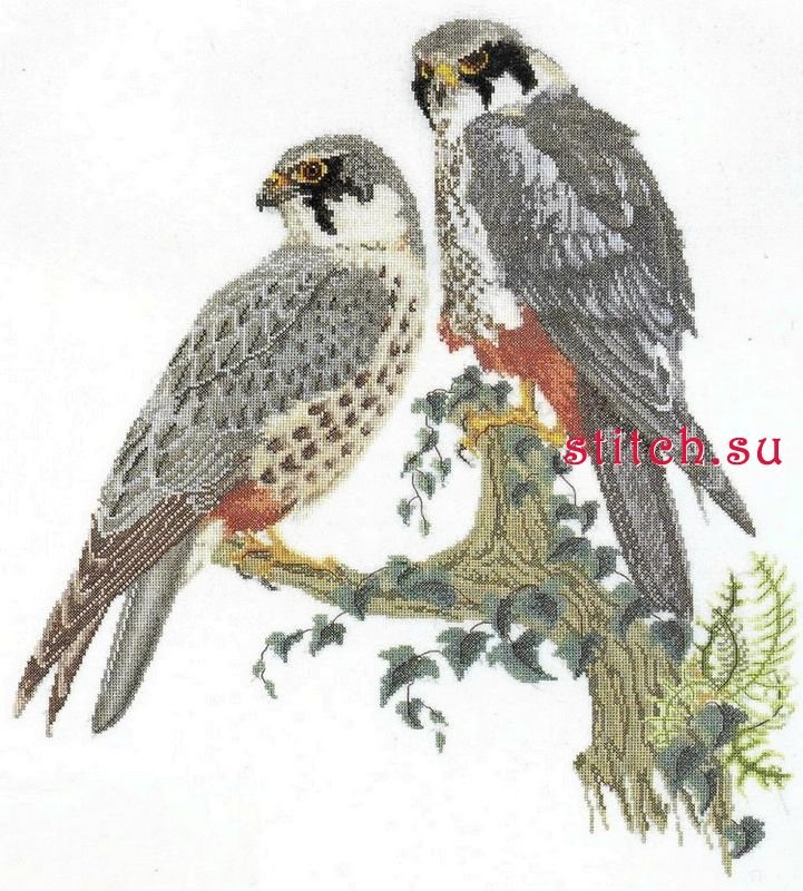 птицы - сокол - оригинал