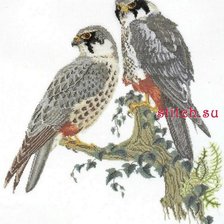 Оригинал схемы вышивки «птицы» (№1966587)