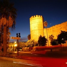 Схема вышивки «Alcázar de Jerez»