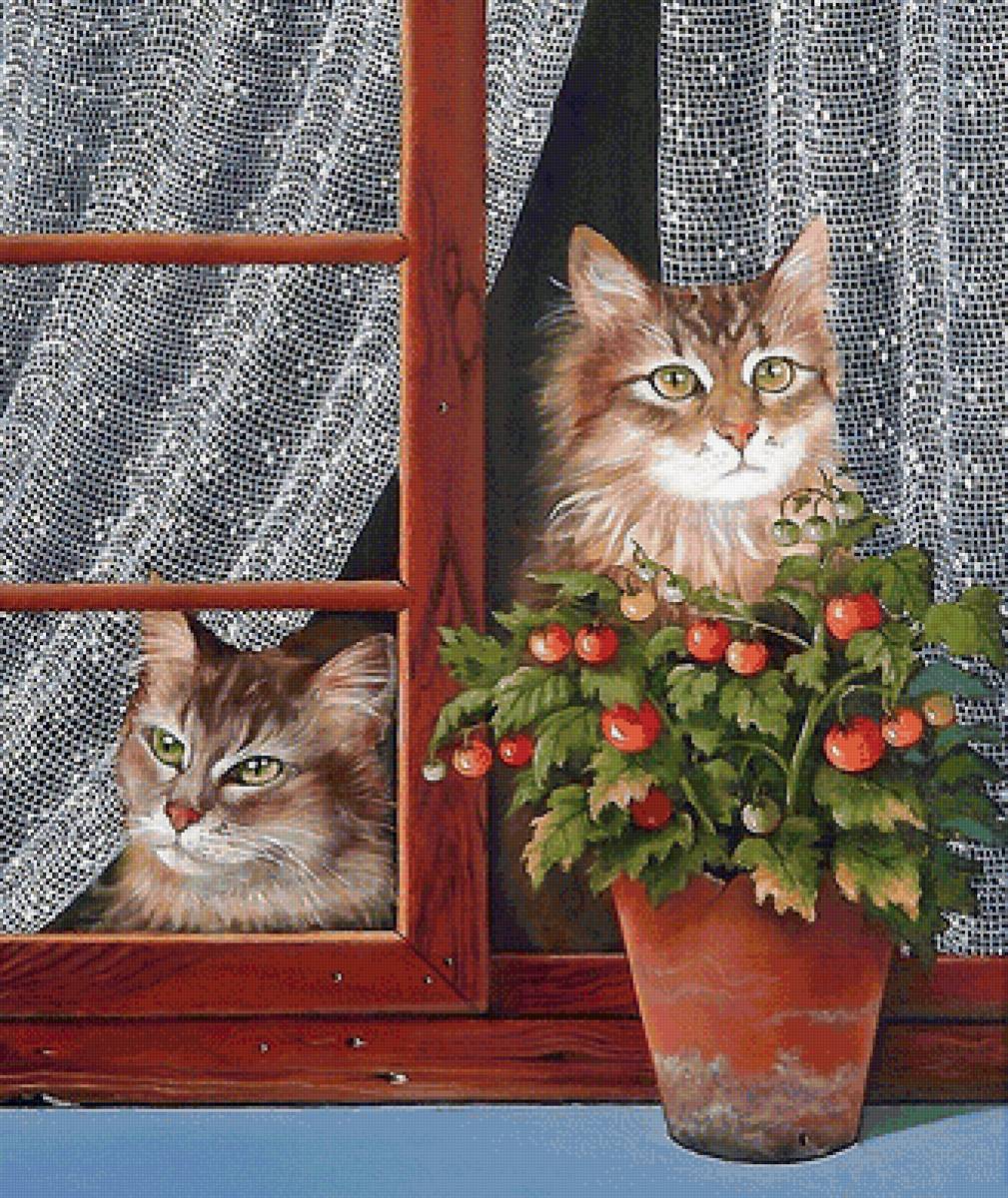 котики - коты - предпросмотр