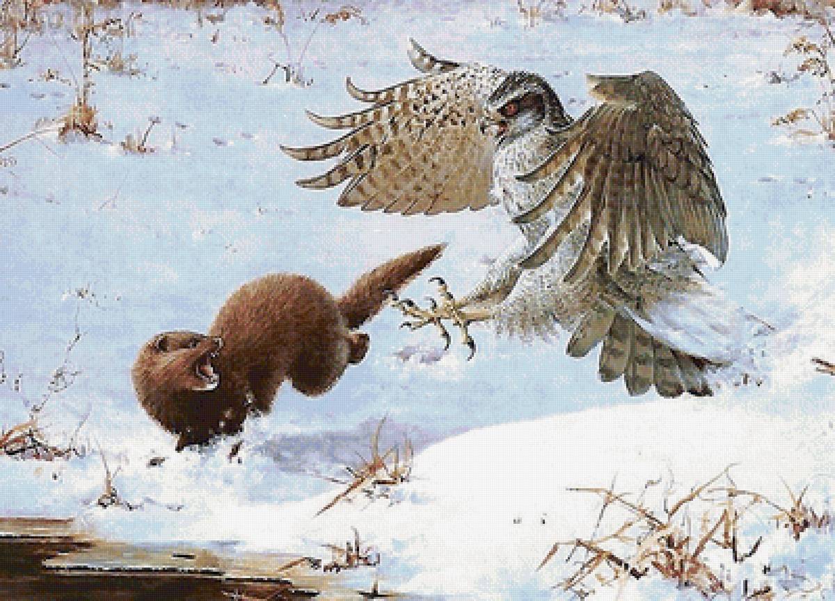 мир животных - мир животных - предпросмотр