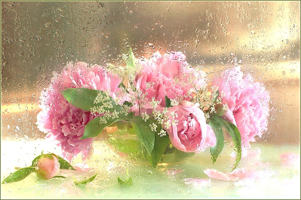 букет у окна - цветы - оригинал