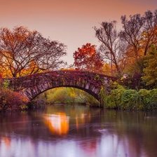 Схема вышивки «золотая осень»