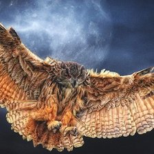 Схема вышивки «сова»