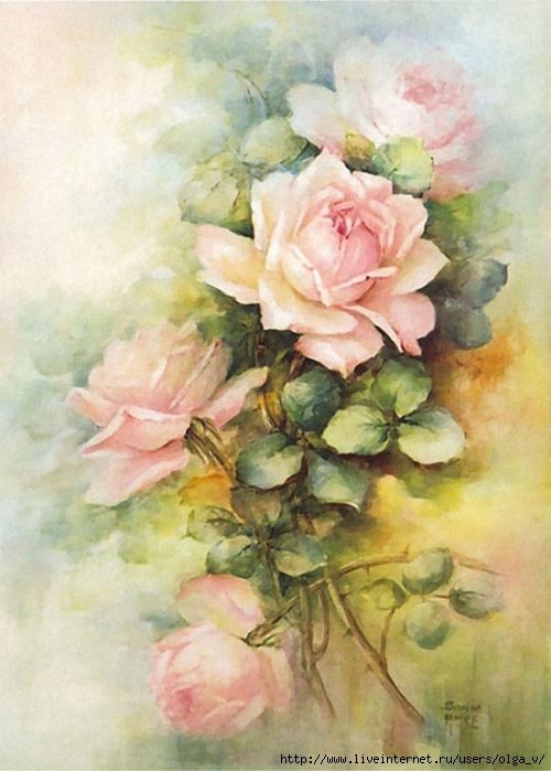 Rosa - оригинал