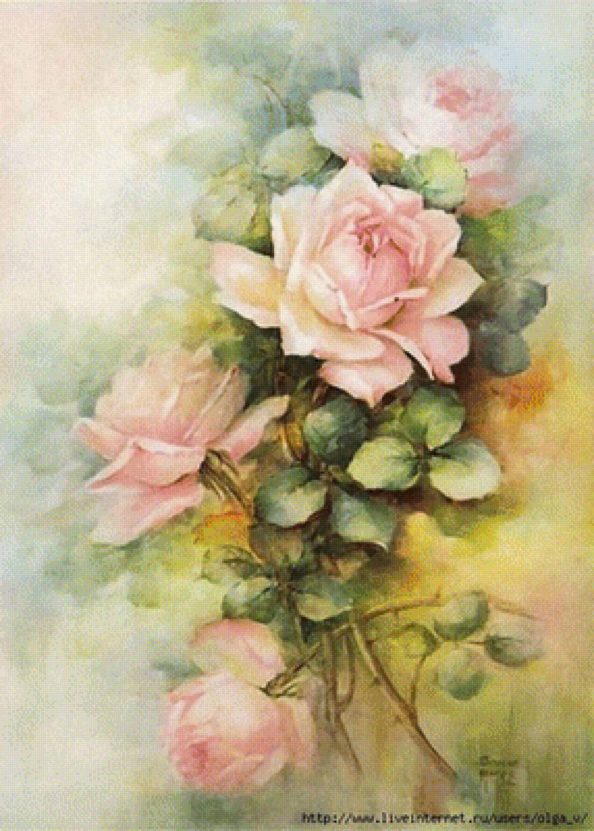 Rosa - предпросмотр